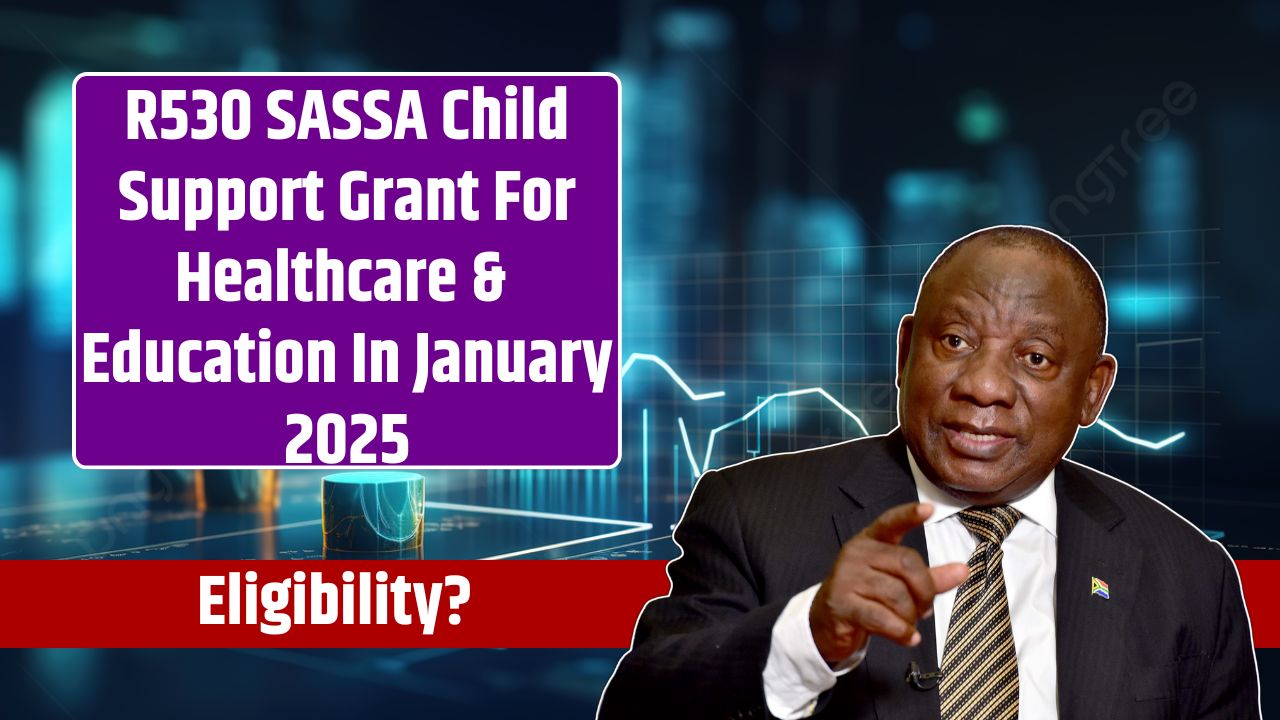 R530 SASSA Child Support Grant For Healthcare & Education In January 2025